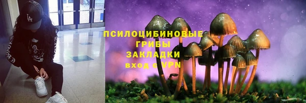тгк Навашино