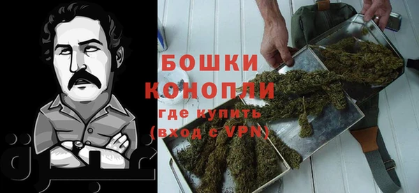 гашик Нефтекумск