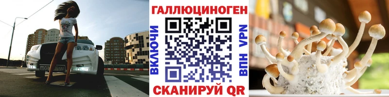 Галлюциногенные грибы Psilocybine cubensis  Нюрба 