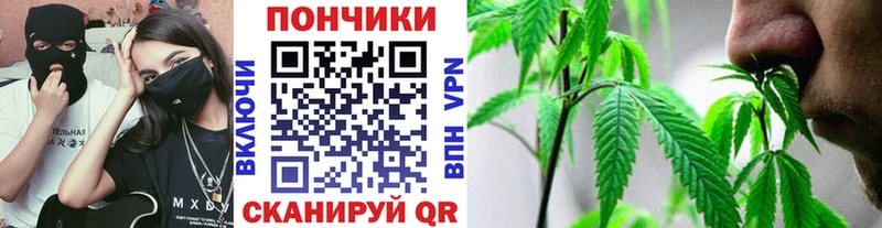 где купить наркоту  Нюрба  Каннабис Bruce Banner 